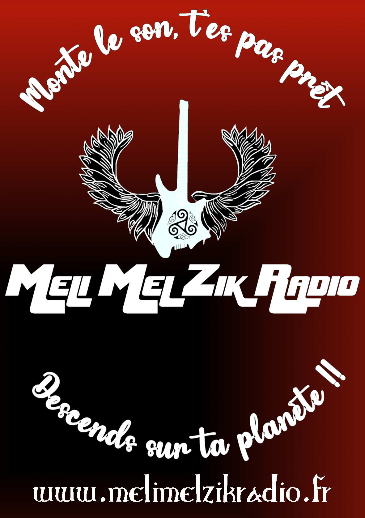 LOGO MELI MEL ZIK RADIO